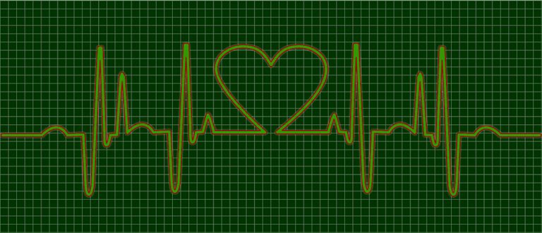 EKG holter je praktický miniaturní záznamník
