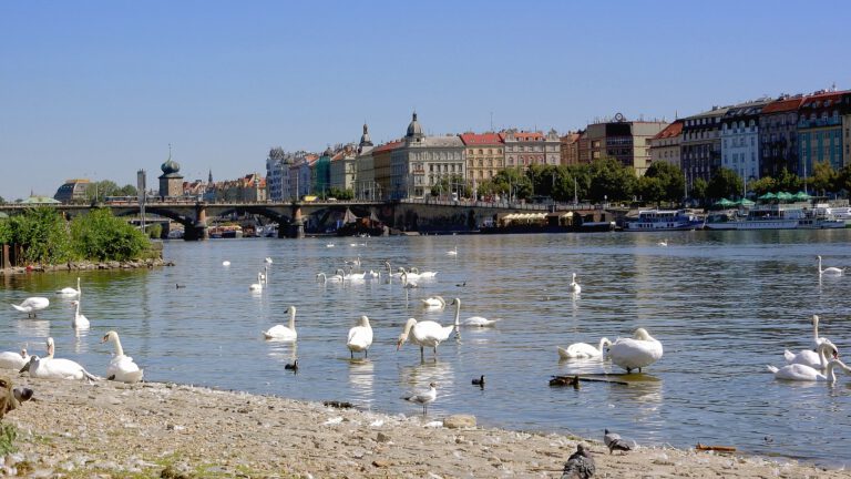Jaká část je nejlukrativnější z pohledu koupí bytů v hlavním městě Praze?